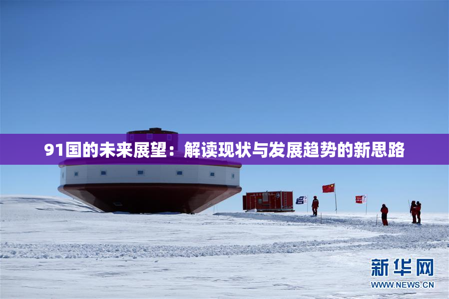 91国的未来展望：解读现状与发展趋势的新思路