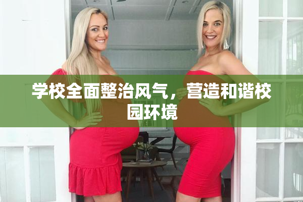 学校全面整治风气，营造和谐校园环境