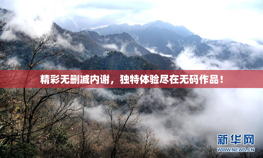 精彩无删减内谢，独特体验尽在无码作品！