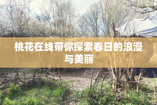 桃花在线带你探索春日的浪漫与美丽