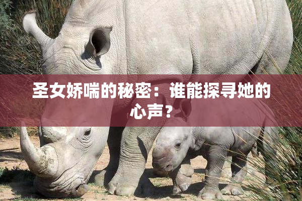 圣女娇喘的秘密：谁能探寻她的心声？