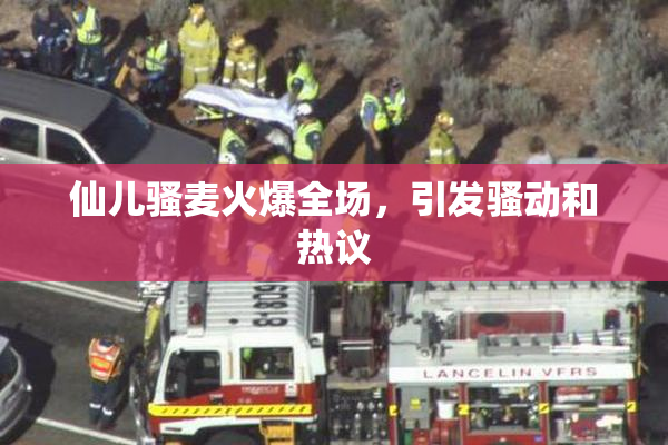 仙儿骚麦火爆全场，引发骚动和热议