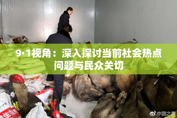 9·1视角：深入探讨当前社会热点问题与民众关切