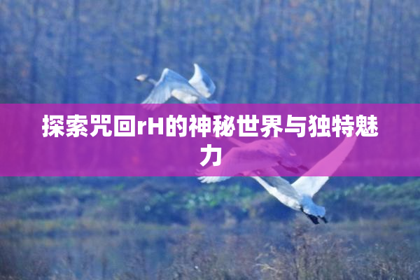 探索咒回rH的神秘世界与独特魅力