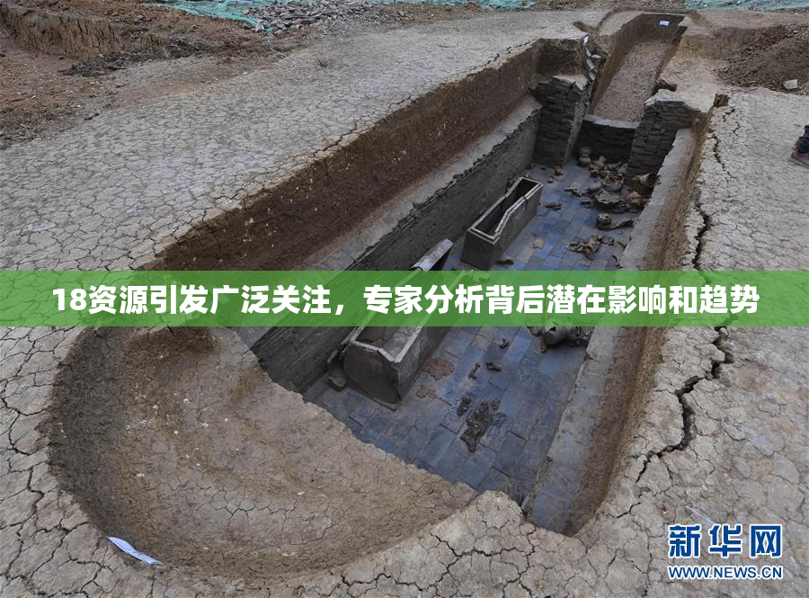 18资源引发广泛关注，专家分析背后潜在影响和趋势