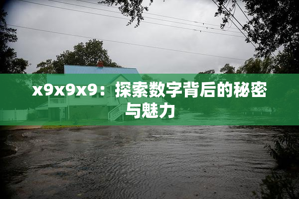 x9x9x9：探索数字背后的秘密与魅力