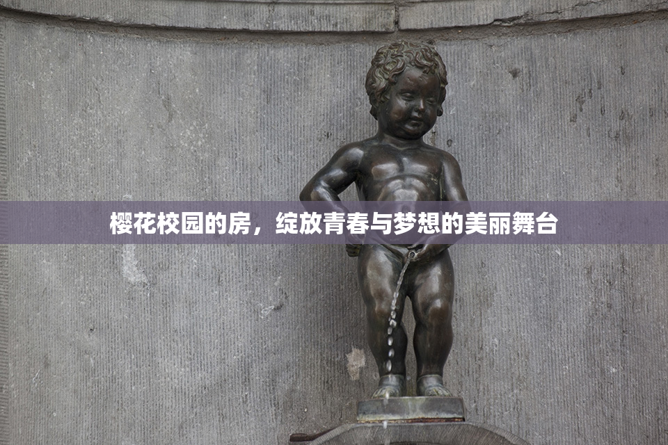 樱花校园的房，绽放青春与梦想的美丽舞台