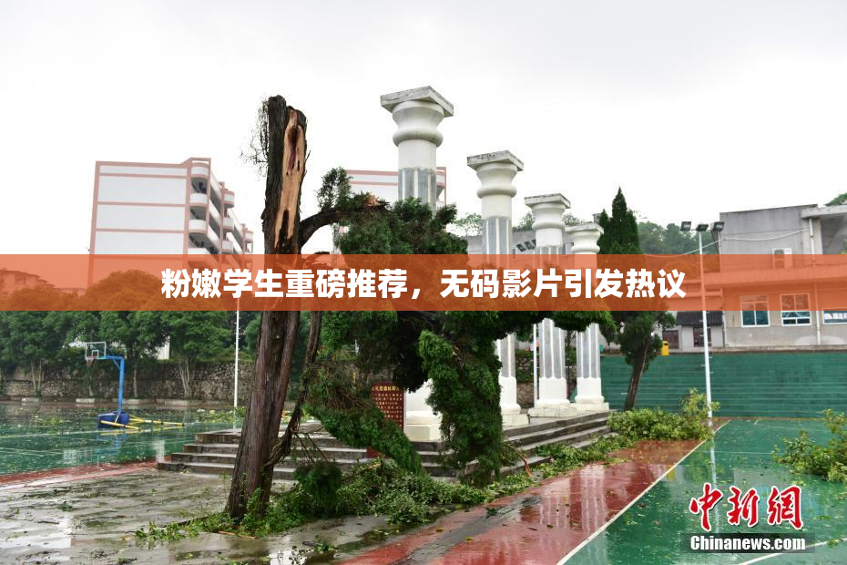 粉嫩学生重磅推荐，无码影片引发热议