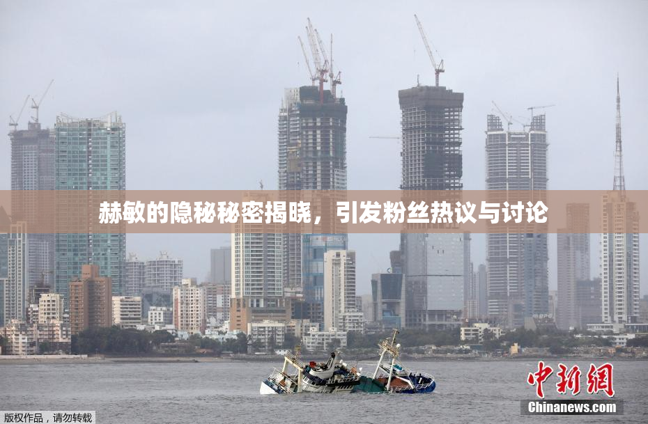 赫敏的隐秘秘密揭晓，引发粉丝热议与讨论