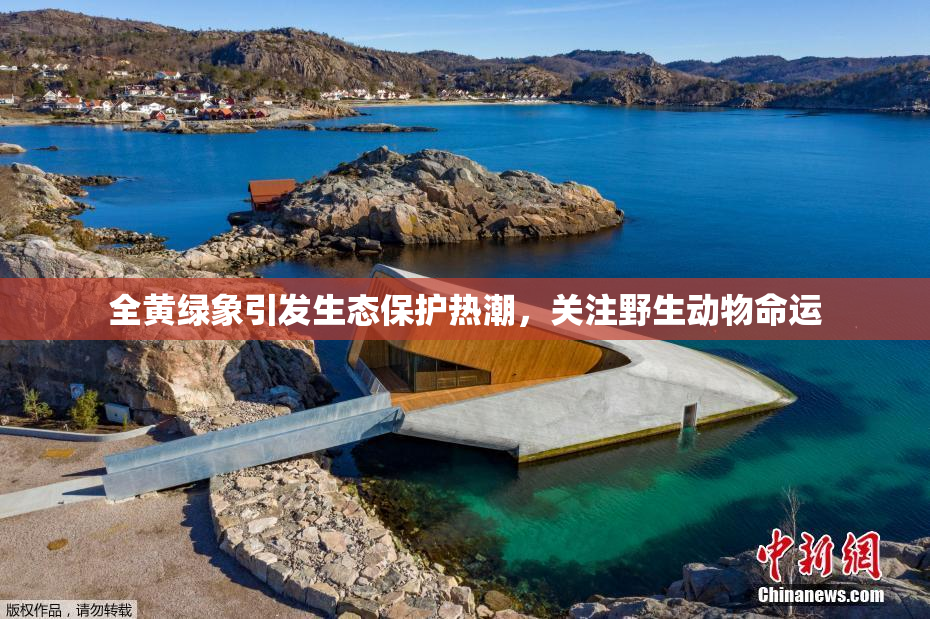 全黄绿象引发生态保护热潮，关注野生动物命运