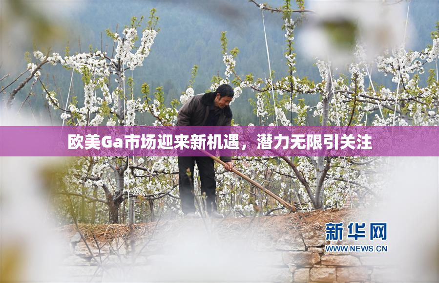 欧美Ga市场迎来新机遇，潜力无限引关注
