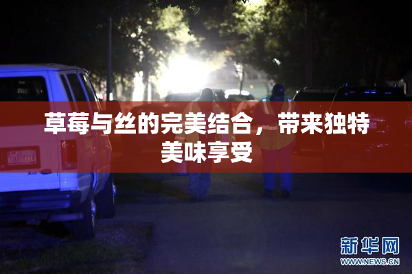 草莓与丝的完美结合，带来独特美味享受
