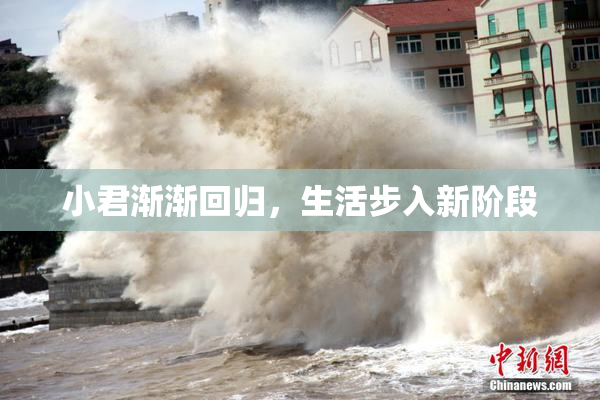 小君渐渐回归，生活步入新阶段