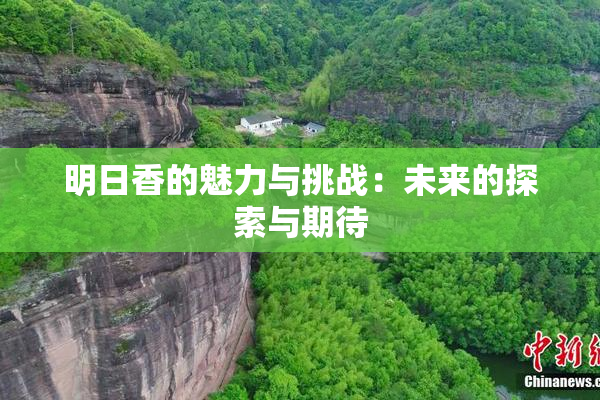 明日香的魅力与挑战：未来的探索与期待