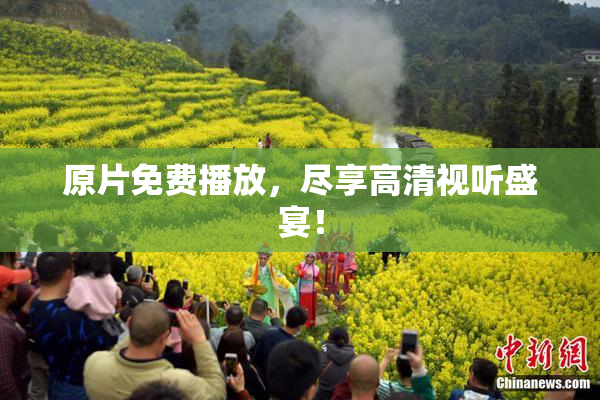 原片免费播放，尽享高清视听盛宴！
