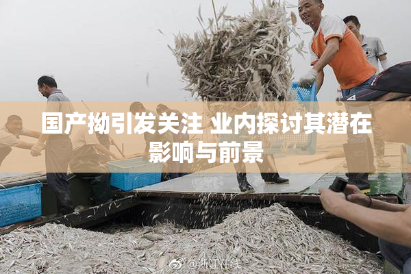 国产拗引发关注 业内探讨其潜在影响与前景
