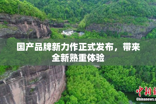国产品牌新力作正式发布，带来全新熟重体验