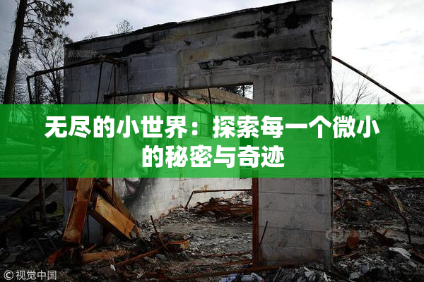 无尽的小世界：探索每一个微小的秘密与奇迹
