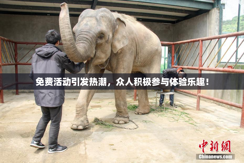 免费活动引发热潮，众人积极参与体验乐趣！