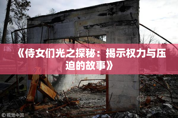 《侍女们光之探秘：揭示权力与压迫的故事》