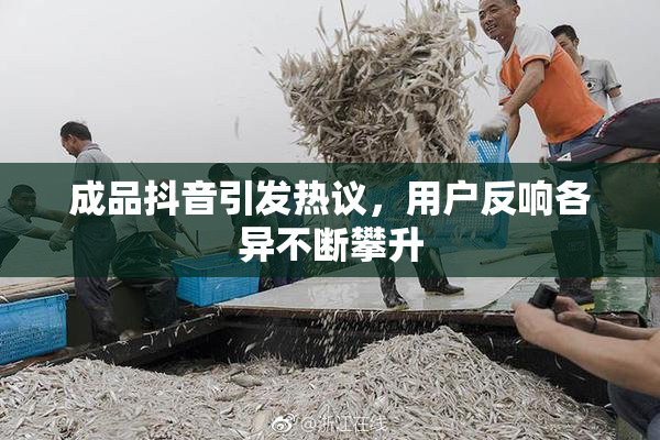成品抖音引发热议，用户反响各异不断攀升