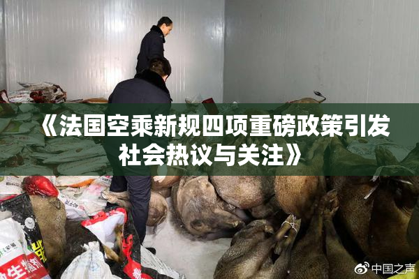 《法国空乘新规四项重磅政策引发社会热议与关注》