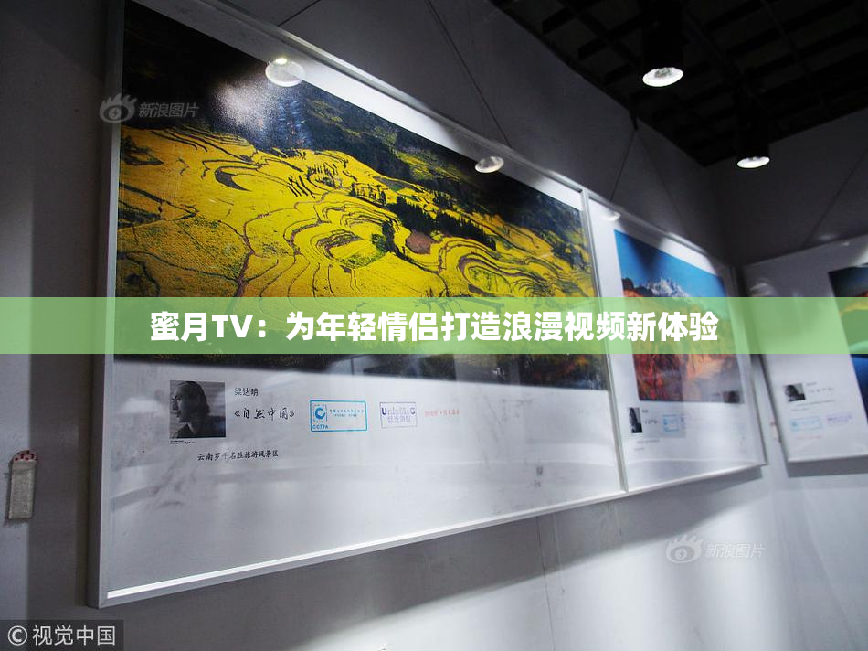 蜜月TV：为年轻情侣打造浪漫视频新体验