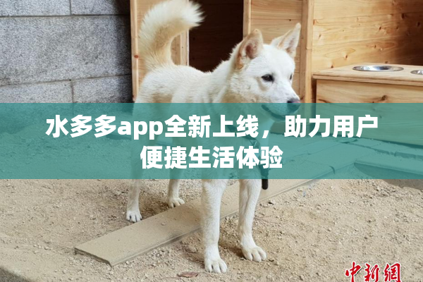 水多多app全新上线，助力用户便捷生活体验