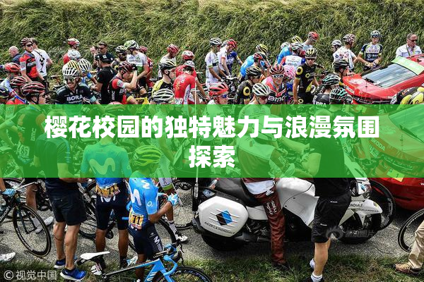 樱花校园的独特魅力与浪漫氛围探索