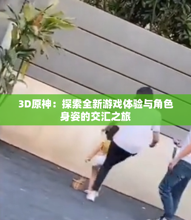 3D原神：探索全新游戏体验与角色身姿的交汇之旅
