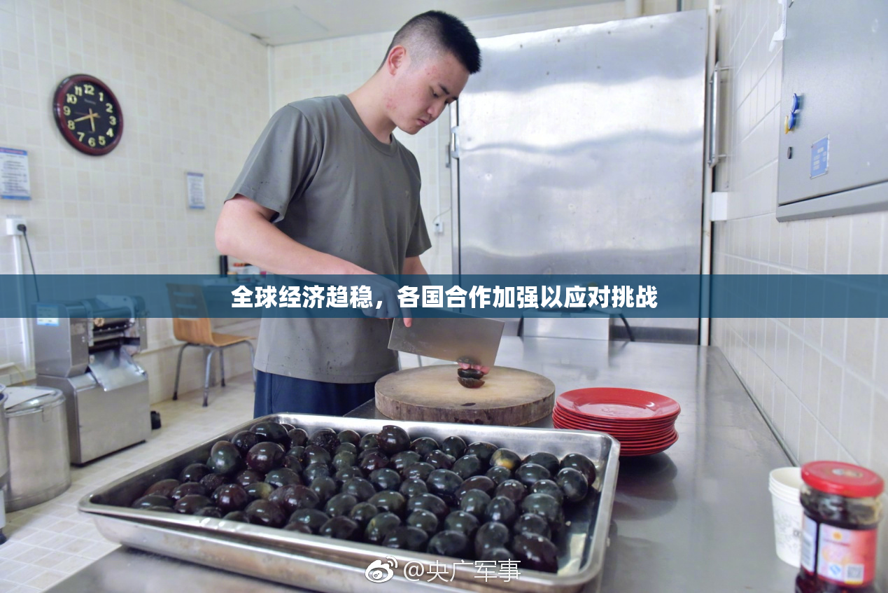全球经济趋稳，各国合作加强以应对挑战
