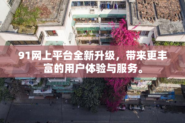 91网上平台全新升级，带来更丰富的用户体验与服务。