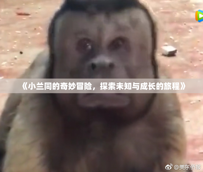 《小兰同的奇妙冒险，探索未知与成长的旅程》
