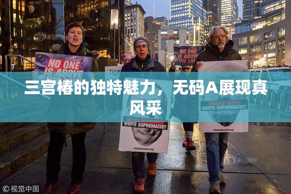 三宫椿的独特魅力，无码A展现真风采