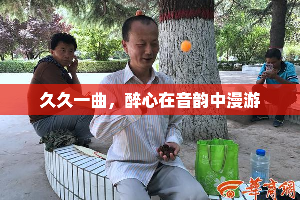 久久一曲，醉心在音韵中漫游