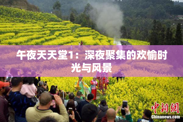 午夜天天堂1：深夜聚集的欢愉时光与风景