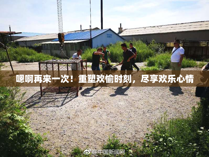 嗯啊再来一次！重塑欢愉时刻，尽享欢乐心情