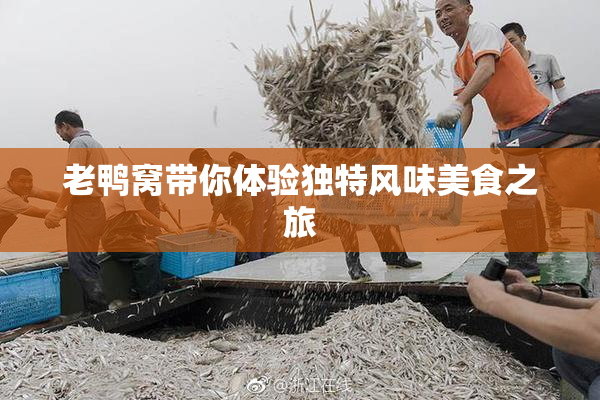 老鸭窝带你体验独特风味美食之旅
