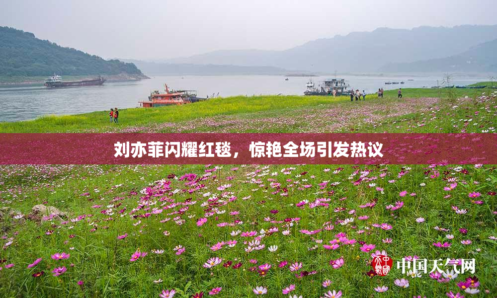 刘亦菲闪耀红毯，惊艳全场引发热议