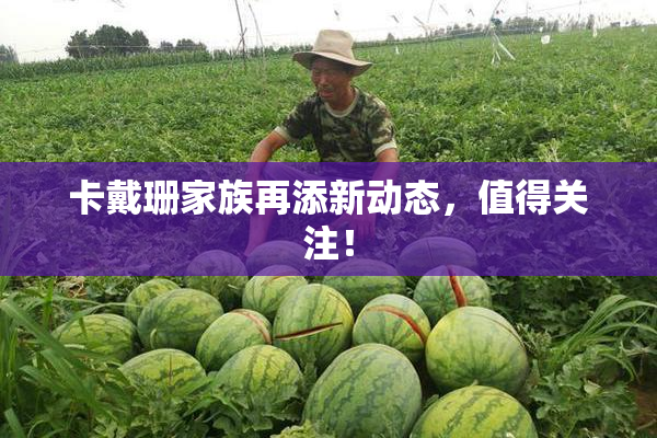 卡戴珊家族再添新动态，值得关注！