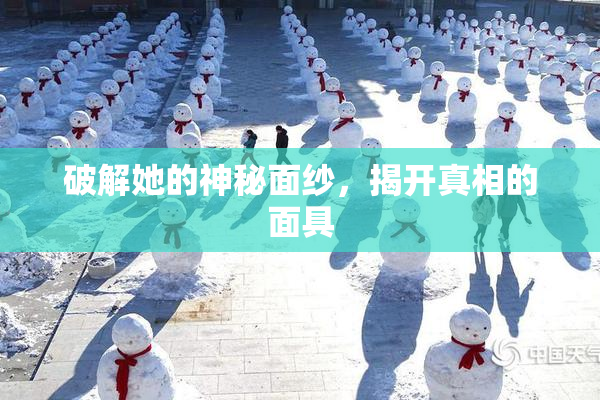 破解她的神秘面纱，揭开真相的面具