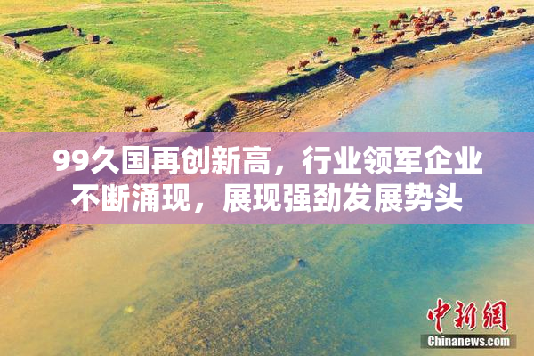 99久国再创新高，行业领军企业不断涌现，展现强劲发展势头