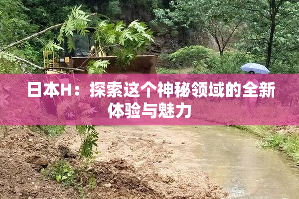 日本H：探索这个神秘领域的全新体验与魅力