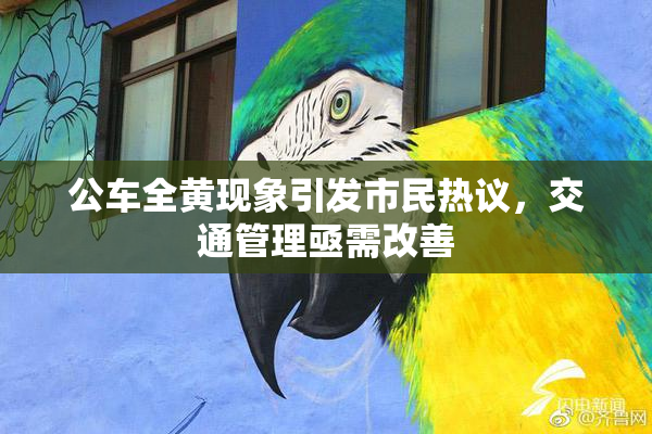 公车全黄现象引发市民热议，交通管理亟需改善