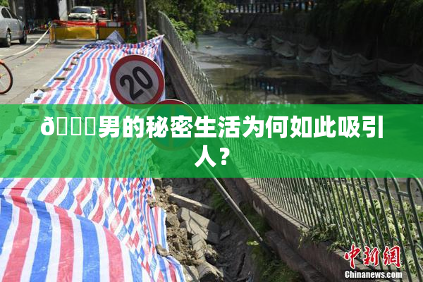😚男的秘密生活为何如此吸引人？