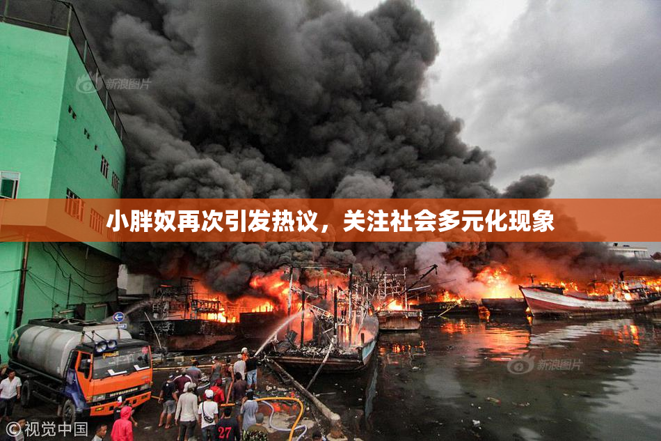 小胖奴再次引发热议，关注社会多元化现象