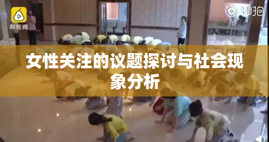 女性关注的议题探讨与社会现象分析