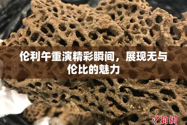 伦利午重演精彩瞬间，展现无与伦比的魅力
