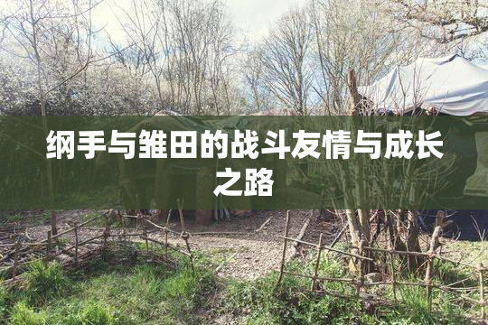 纲手与雏田的战斗友情与成长之路