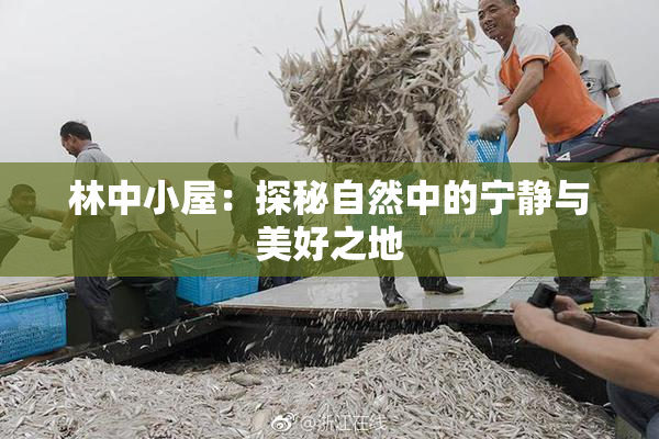 林中小屋：探秘自然中的宁静与美好之地